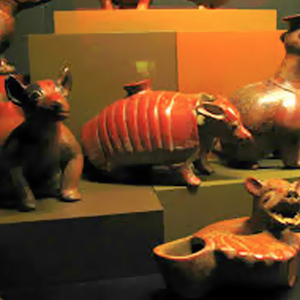Visita el Museo Universitario Alejandro Rangel Hidalgo en Comala